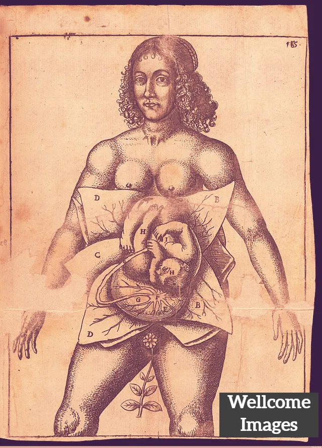 What are Secrets of Women?
