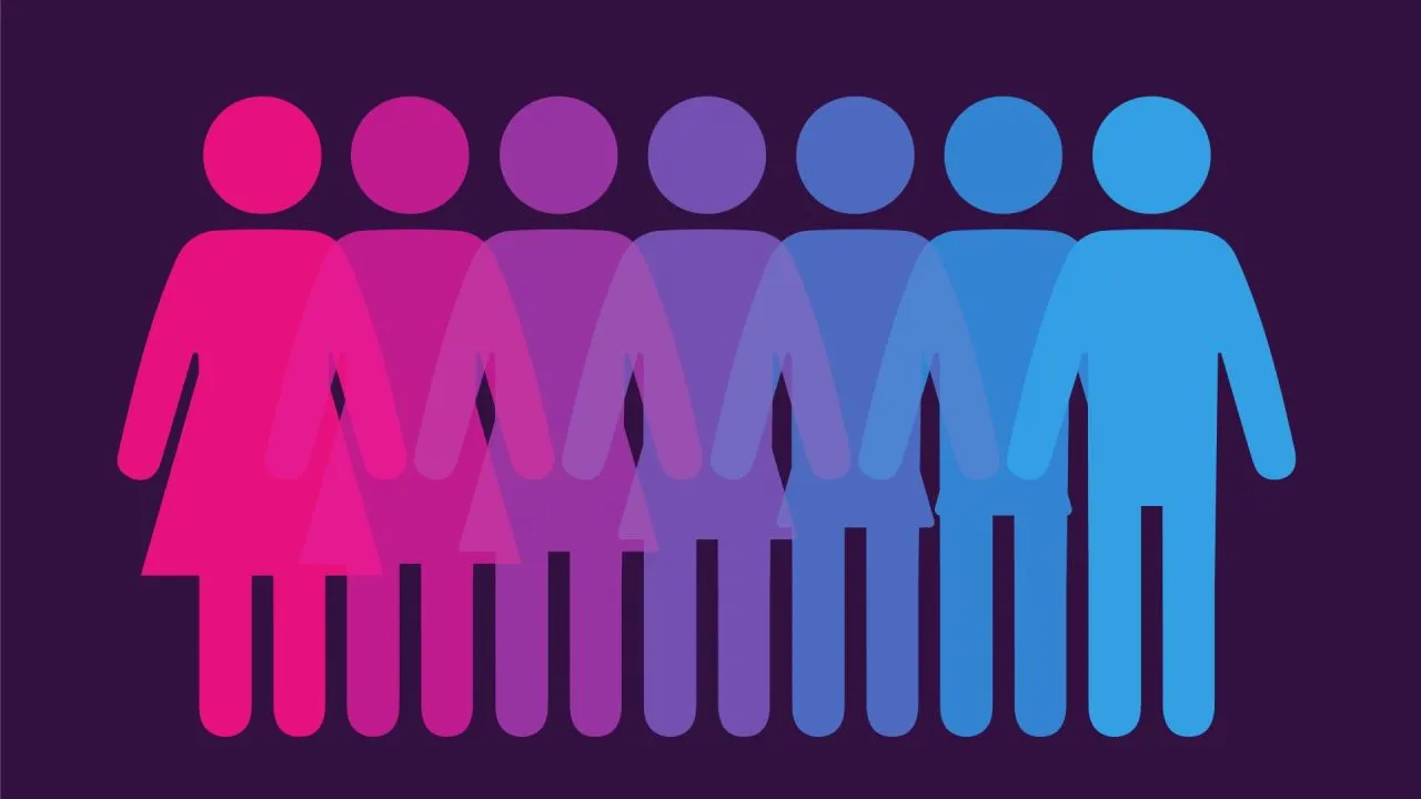 What is Gender History?