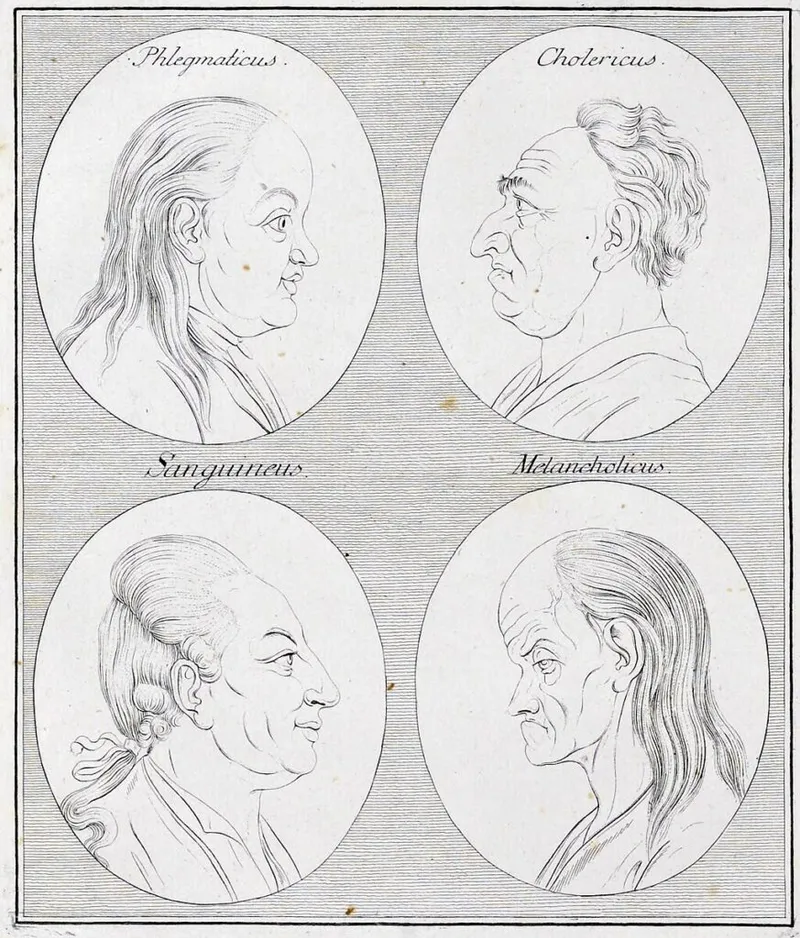 18th-century depiction of the four temperaments according to the four humours.