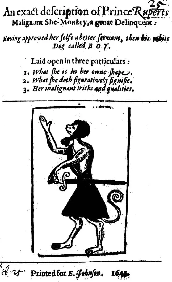 Title page of 'An Exact Description of Prince Ruperts Malignant She-Monkey', 1643.