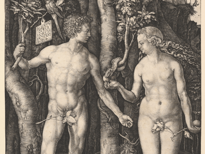 Eve holds the apple in a detail from Albrecht Dürer's engraving Adam and Eve (1504).