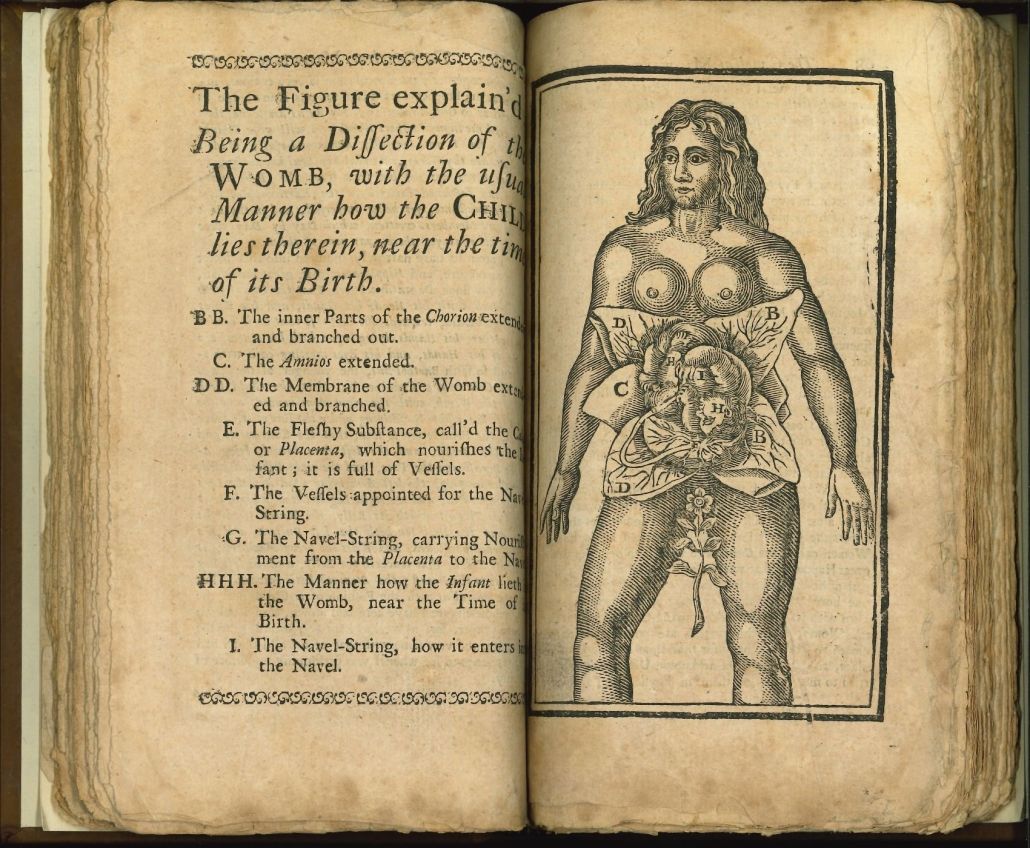 The female body opening up like a flower in Jane Sharp’s midwifery manual. Credit: The Library Company of Philadelphia.